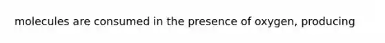 molecules are consumed in the presence of oxygen, producing