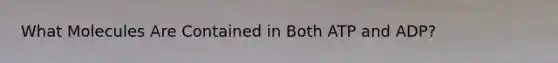 What Molecules Are Contained in Both ATP and ADP?
