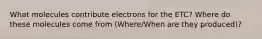 What molecules contribute electrons for the ETC? Where do these molecules come from (Where/When are they produced)?