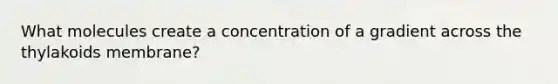 What molecules create a concentration of a gradient across the thylakoids membrane?