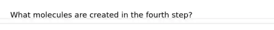 What molecules are created in the fourth step?