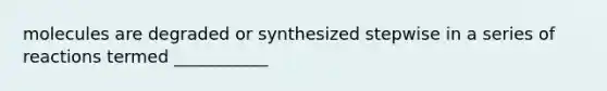 molecules are degraded or synthesized stepwise in a series of reactions termed ___________