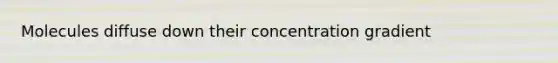 Molecules diffuse down their concentration gradient