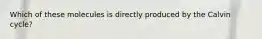 Which of these molecules is directly produced by the Calvin cycle?