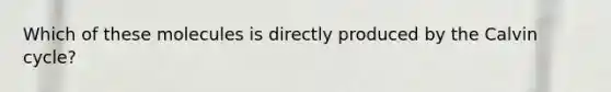 Which of these molecules is directly produced by the Calvin cycle?