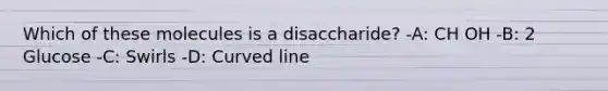 Which of these molecules is a disaccharide? -A: CH OH -B: 2 Glucose -C: Swirls -D: Curved line