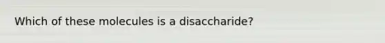 Which of these molecules is a disaccharide?