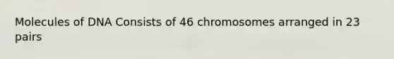 Molecules of DNA Consists of 46 chromosomes arranged in 23 pairs