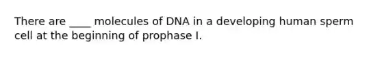 There are ____ molecules of DNA in a developing human sperm cell at the beginning of prophase I.