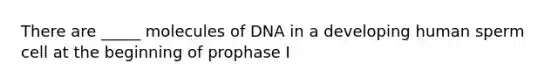 There are _____ molecules of DNA in a developing human sperm cell at the beginning of prophase I