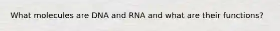 What molecules are DNA and RNA and what are their functions?