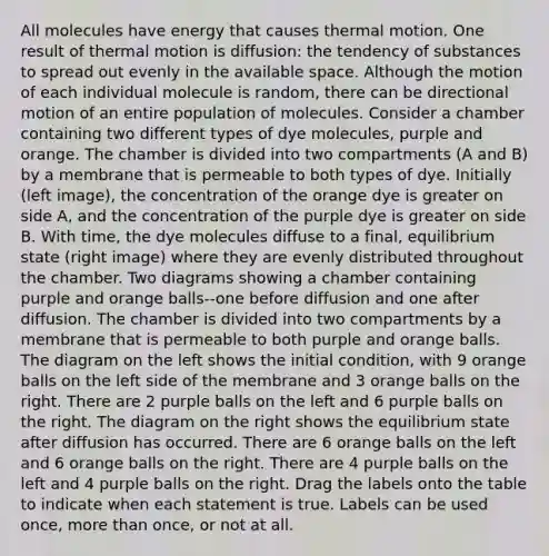 All molecules have energy that causes thermal motion. One result of thermal motion is diffusion: the tendency of substances to spread out evenly in the available space. Although the motion of each individual molecule is random, there can be directional motion of an entire population of molecules. Consider a chamber containing two different types of dye molecules, purple and orange. The chamber is divided into two compartments (A and B) by a membrane that is permeable to both types of dye. Initially (left image), the concentration of the orange dye is greater on side A, and the concentration of the purple dye is greater on side B. With time, the dye molecules diffuse to a final, equilibrium state (right image) where they are evenly distributed throughout the chamber. Two diagrams showing a chamber containing purple and orange balls--one before diffusion and one after diffusion. The chamber is divided into two compartments by a membrane that is permeable to both purple and orange balls. The diagram on the left shows the initial condition, with 9 orange balls on the left side of the membrane and 3 orange balls on the right. There are 2 purple balls on the left and 6 purple balls on the right. The diagram on the right shows the equilibrium state after diffusion has occurred. There are 6 orange balls on the left and 6 orange balls on the right. There are 4 purple balls on the left and 4 purple balls on the right. Drag the labels onto the table to indicate when each statement is true. Labels can be used once, more than once, or not at all.