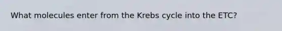 What molecules enter from the Krebs cycle into the ETC?