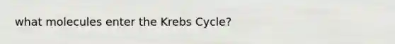 what molecules enter the Krebs Cycle?