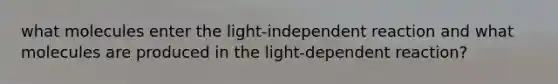 what molecules enter the light-independent reaction and what molecules are produced in the light-dependent reaction?