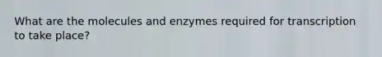 What are the molecules and enzymes required for transcription to take place?