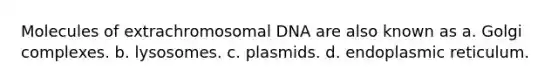 Molecules of extrachromosomal DNA are also known as a. Golgi complexes. b. lysosomes. c. plasmids. d. endoplasmic reticulum.