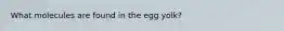 What molecules are found in the egg yolk?