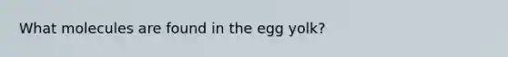 What molecules are found in the egg yolk?