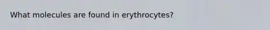 What molecules are found in erythrocytes?