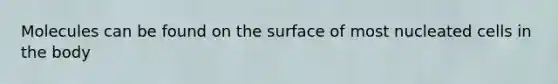 Molecules can be found on the surface of most nucleated cells in the body