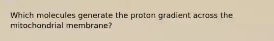 Which molecules generate the proton gradient across the mitochondrial membrane?