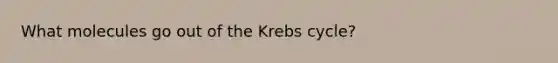 What molecules go out of the <a href='https://www.questionai.com/knowledge/kqfW58SNl2-krebs-cycle' class='anchor-knowledge'>krebs cycle</a>?