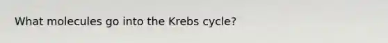 What molecules go into the <a href='https://www.questionai.com/knowledge/kqfW58SNl2-krebs-cycle' class='anchor-knowledge'>krebs cycle</a>?