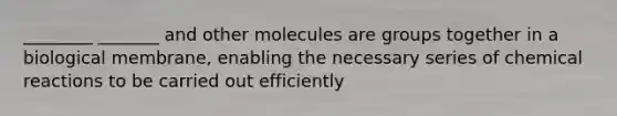 ________ _______ and other molecules are groups together in a biological membrane, enabling the necessary series of chemical reactions to be carried out efficiently