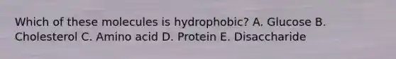 Which of these molecules is hydrophobic? A. Glucose B. Cholesterol C. Amino acid D. Protein E. Disaccharide