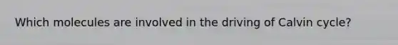 Which molecules are involved in the driving of Calvin cycle?