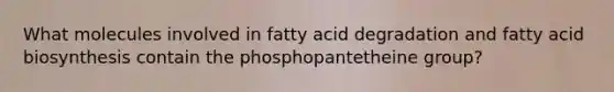 What molecules involved in fatty acid degradation and fatty acid biosynthesis contain the phosphopantetheine group?