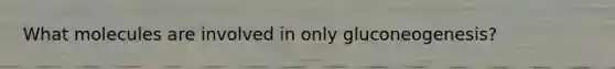 What molecules are involved in only gluconeogenesis?