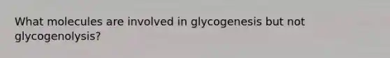 What molecules are involved in glycogenesis but not glycogenolysis?