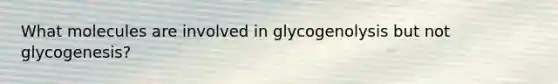 What molecules are involved in glycogenolysis but not glycogenesis?