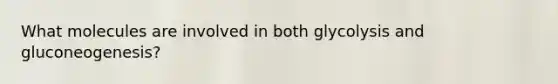 What molecules are involved in both glycolysis and gluconeogenesis?