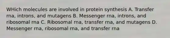 WHich molecules are involved in protein synthesis A. Transfer rna, introns, and mutagens B. Messenger rna, introns, and ribosomal rna C. Ribosomal rna, transfer rna, and mutagens D. Messenger rna, ribosomal rna, and transfer rna