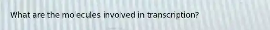 What are the molecules involved in transcription?