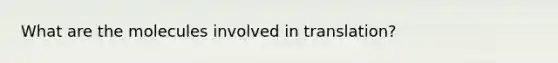 What are the molecules involved in translation?