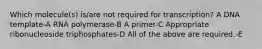 Which molecule(s) is/are not required for transcription? A DNA template-A RNA polymerase-B A primer-C Appropriate ribonucleoside triphosphates-D All of the above are required.-E