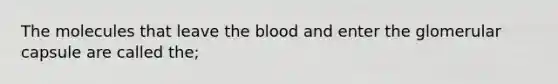 The molecules that leave the blood and enter the glomerular capsule are called the;