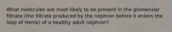 What molecules are most likely to be present in the glomerular filtrate (the filtrate produced by the nephron before it enters the loop of Henle) of a healthy adult nephron?