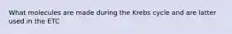 What molecules are made during the Krebs cycle and are latter used in the ETC