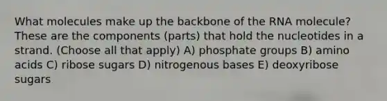 What molecules make up the backbone of the RNA molecule? These are the components (parts) that hold the nucleotides in a strand. (Choose all that apply) A) phosphate groups B) amino acids C) ribose sugars D) nitrogenous bases E) deoxyribose sugars