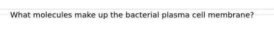 What molecules make up the bacterial plasma cell membrane?