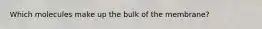 Which molecules make up the bulk of the membrane?