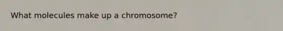 What molecules make up a chromosome?