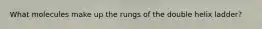 What molecules make up the rungs of the double helix ladder?