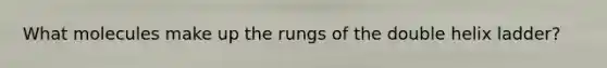 What molecules make up the rungs of the double helix ladder?