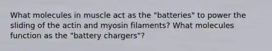 What molecules in muscle act as the "batteries" to power the sliding of the actin and myosin filaments? What molecules function as the "battery chargers"?